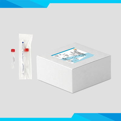 RT-PCR এর জন্য নিষ্ক্রিয় ভাইরাল ট্রান্সপোর্ট মিডিয়াম কিট